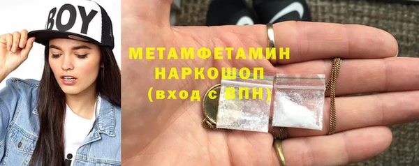 сатива Вязьма