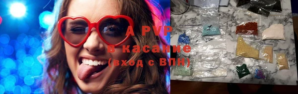 прущие грибы Вяземский
