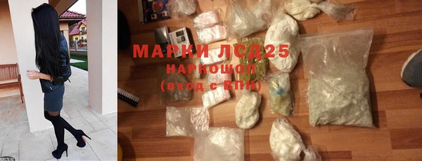 прущие грибы Вяземский