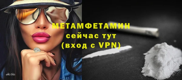 прущие грибы Вяземский