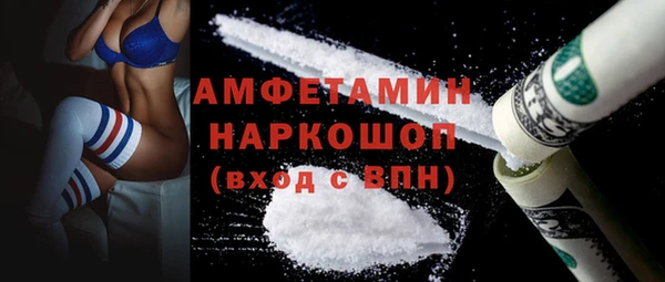 прущие грибы Вяземский