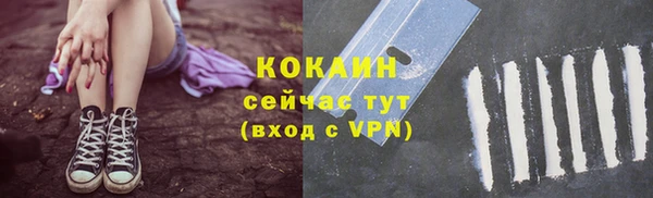 сатива Вязьма