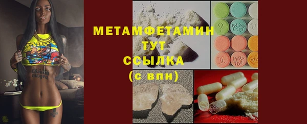 прущие грибы Вяземский