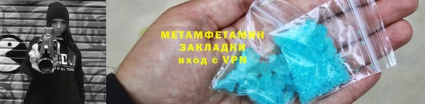 прущие грибы Вяземский