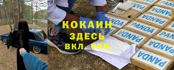 сатива Вязьма