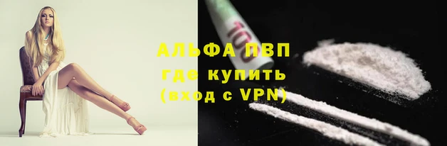 прущие грибы Вяземский