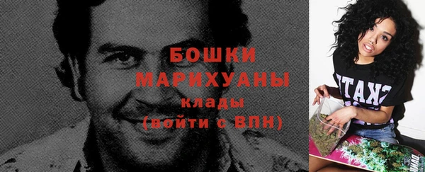 прущие грибы Вяземский