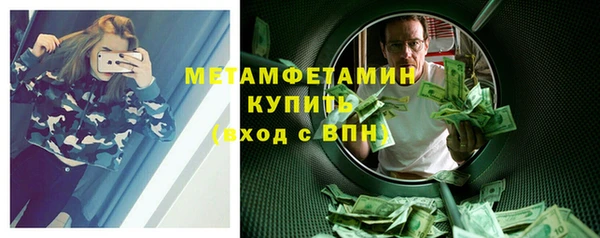 прущие грибы Вяземский