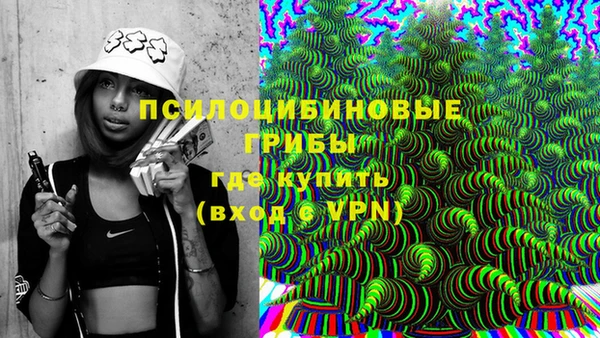 сатива Вязьма