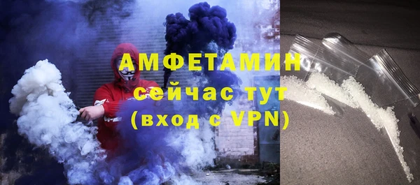 прущие грибы Вяземский
