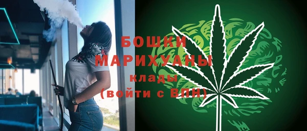 прущие грибы Вяземский